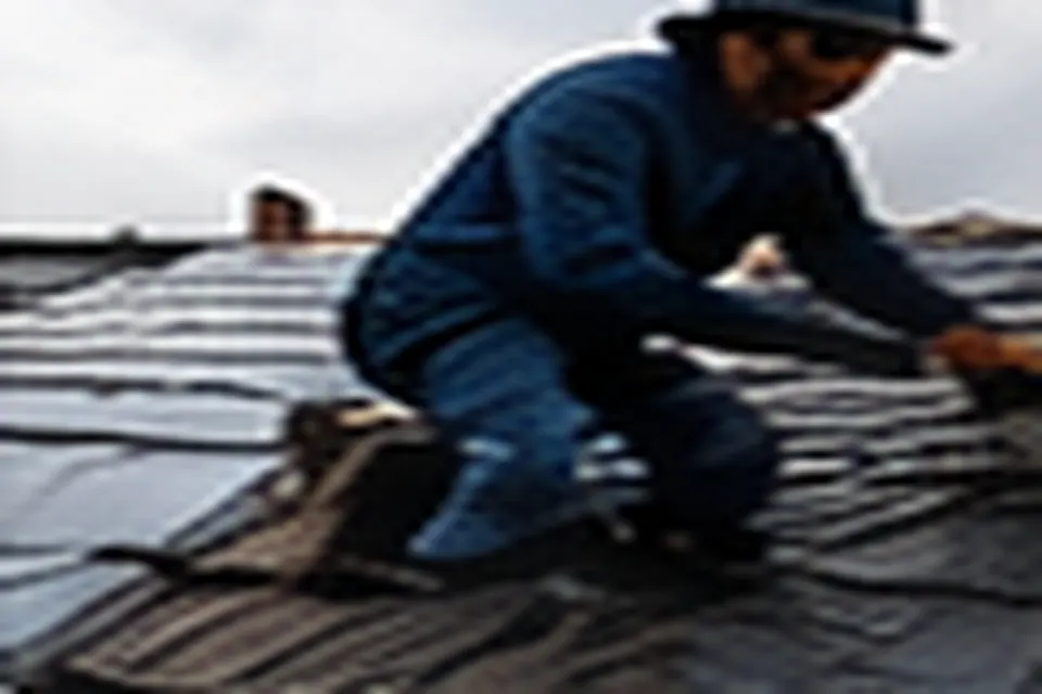 Inspection professionnelle d'une toiture